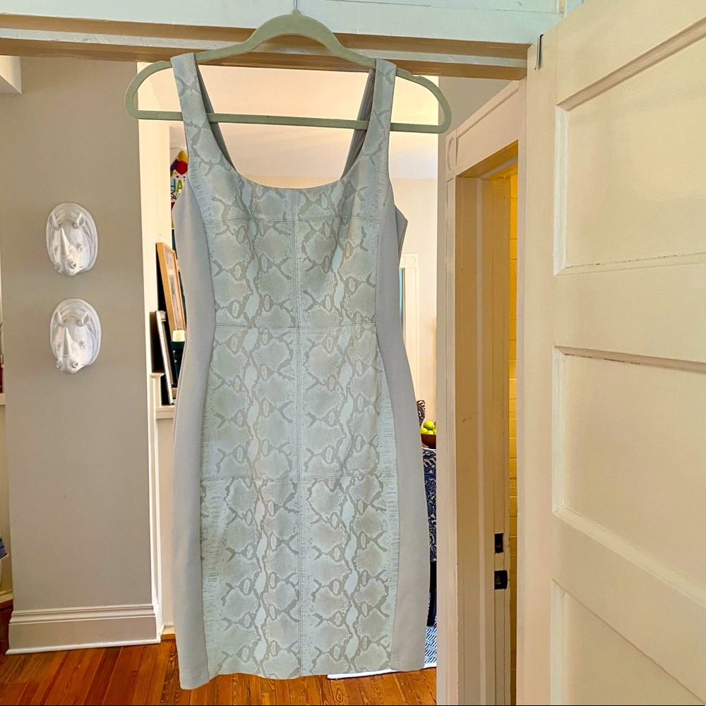 Bailey 44 Anita Snake Skin Leather Dress